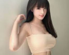 产品档案报告
